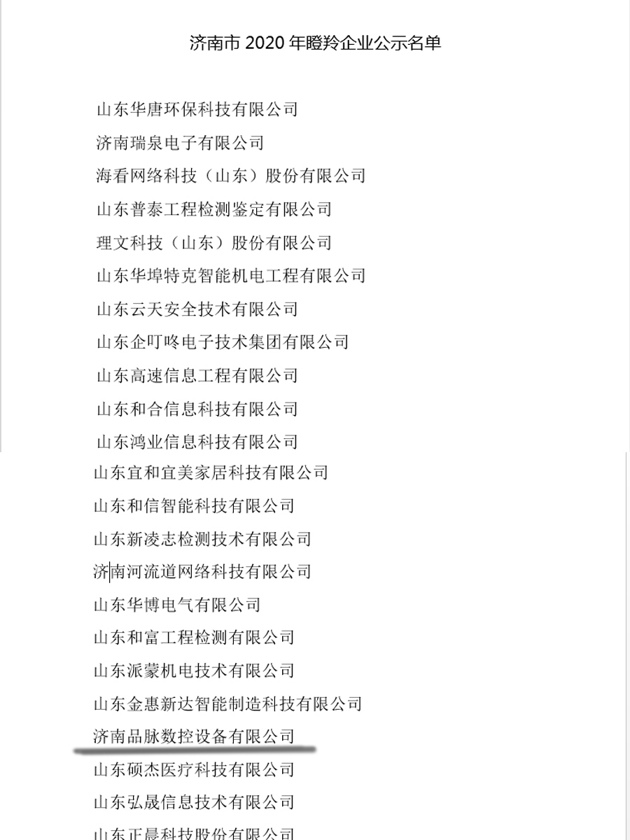瞪羚企業(yè)名單